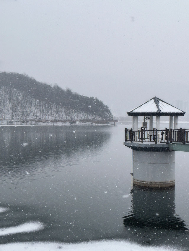 눈으로 뒤덮인 서울근교 드라이브+산책로 추천❄️