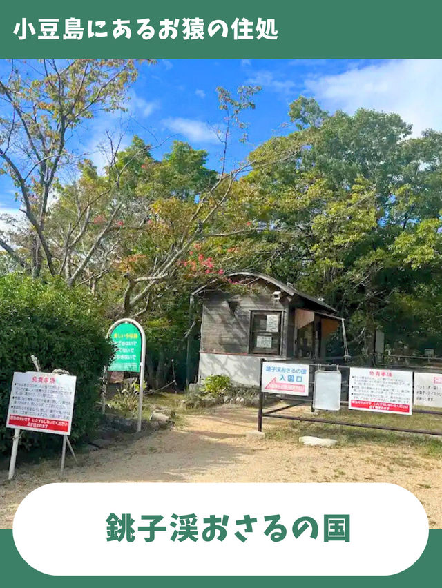 【小豆島旅行】日帰り旅行で行きたい！可愛い子猿とも触れ合える人気のモンキーパーク！