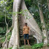 ทริป น้ำตกสวนรุกขชาติน้ำตกสำโรงเกียรติ