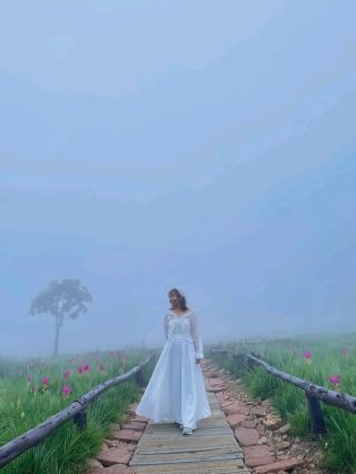 Healing in the Mist