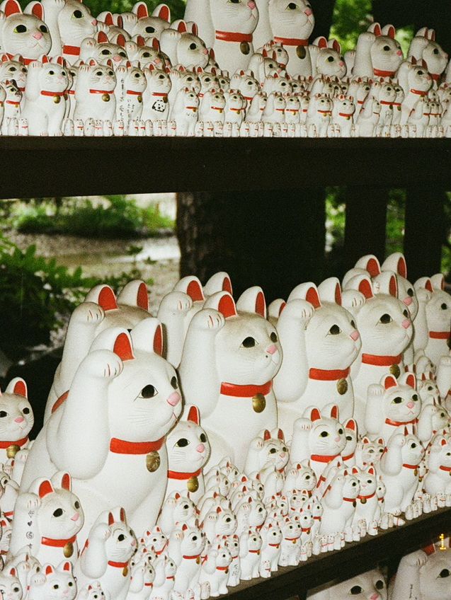 日本東京 豪德寺 買一個貓貓許一個願 