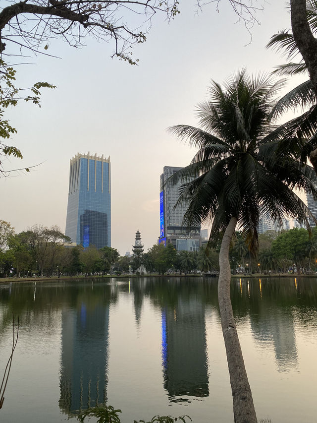 Lumpini Park สวนสาธารณะใหญ่กลางกรุงเทพ