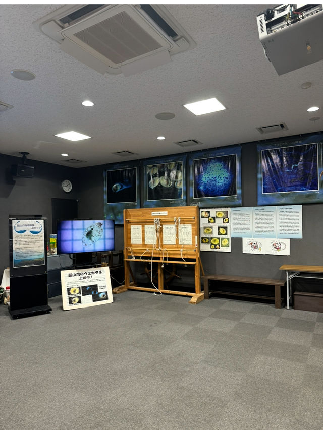 展望台からは館山湾が一望できる千葉の絶景道の駅「渚の駅 たてやま」🫣💞