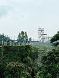 Elevated Adventure at Forest Skywalk, Kepong 🌿🌤 
