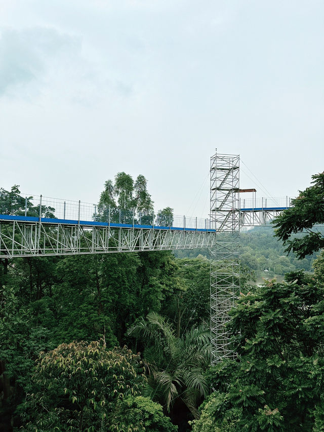 Elevated Adventure at Forest Skywalk, Kepong 🌿🌤 