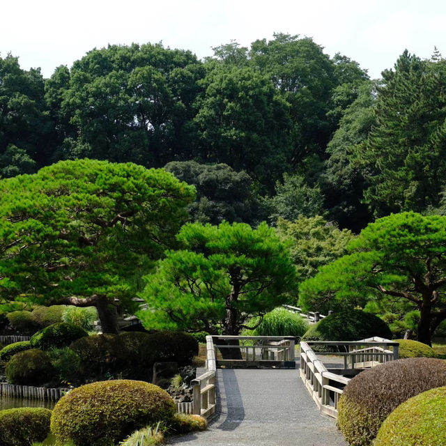 日本皇室的花園🌸🏯皇居東御苑