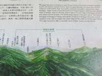 Where Nature and Culture Meet: Qingjing Farm