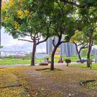 惠安公園～綠植綠洲
