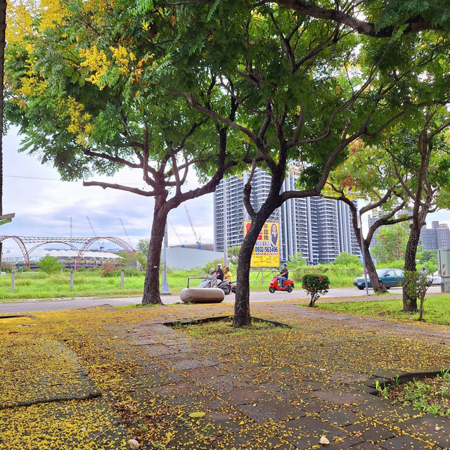 惠安公園～綠植綠洲