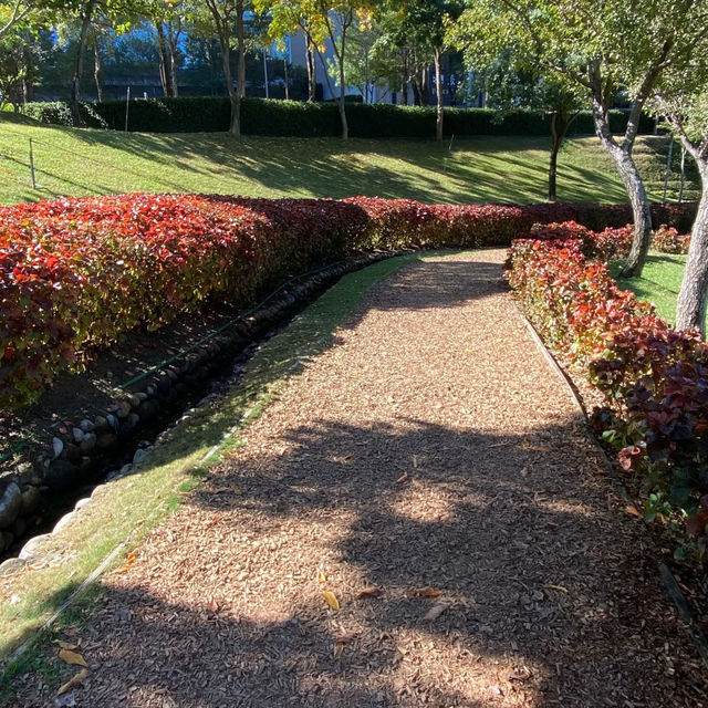惠安公園～綠植綠洲