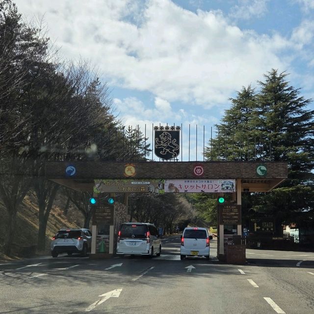 일본 벳푸 필수 여행지 '아프리칸 사파리'