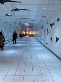 【名古屋×地下街】アートを施した質の高い公共空間