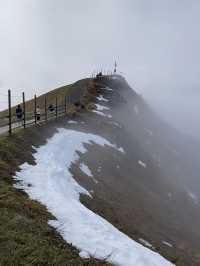 Seceda Mountain: A Cable Car Ride to the Edge of the Dolomites