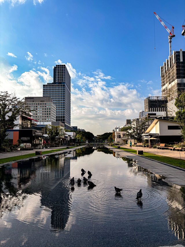 【愛知：久屋大通公園】🫧🗼名古屋の新たな憩いの場 