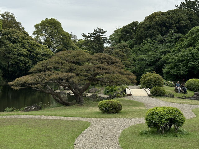 A Tranquil Escape in the Heart of Tokyo: Shinjuku Gyoen