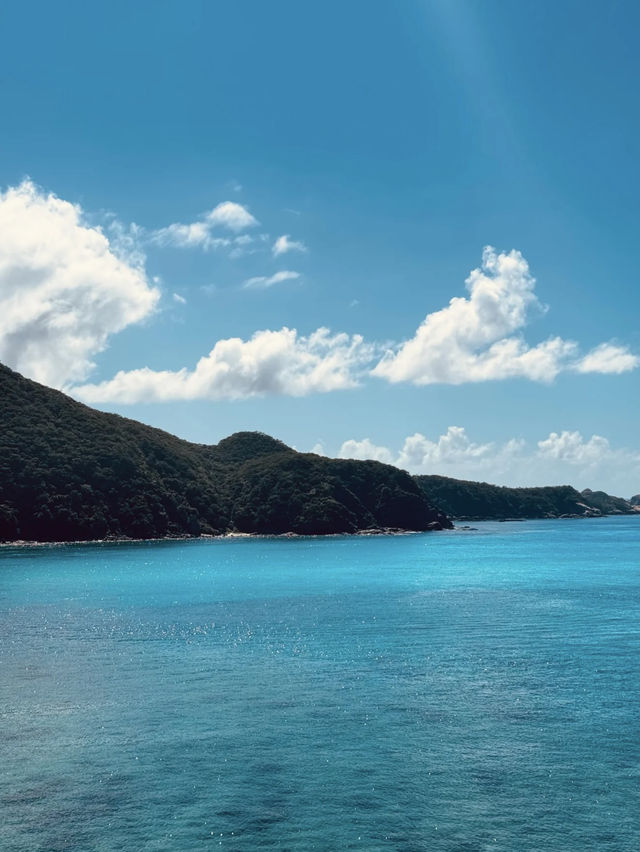 A Taste of Island Serenity in Okinawa