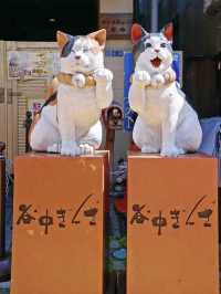 東京逛不完~🐈无意中发现的🐱城🐈