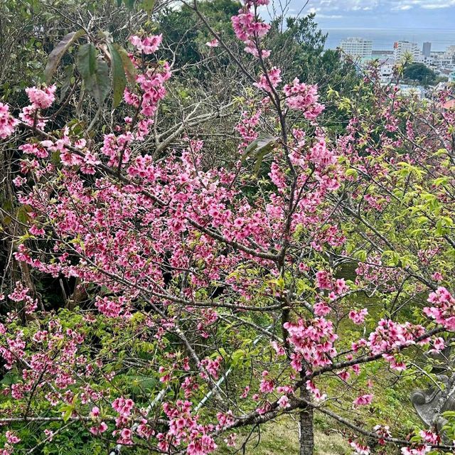 Nago Castle Park