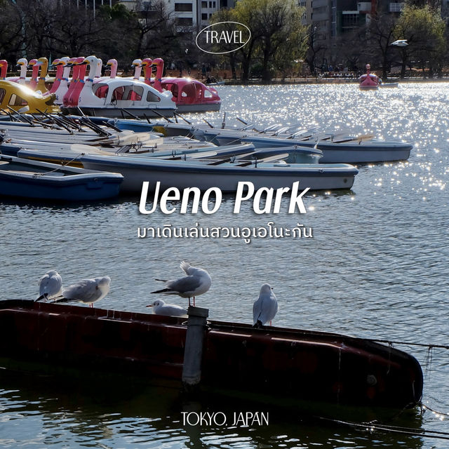 พาเดินเล่น Ueno Park กิจกรรมเพียบ!