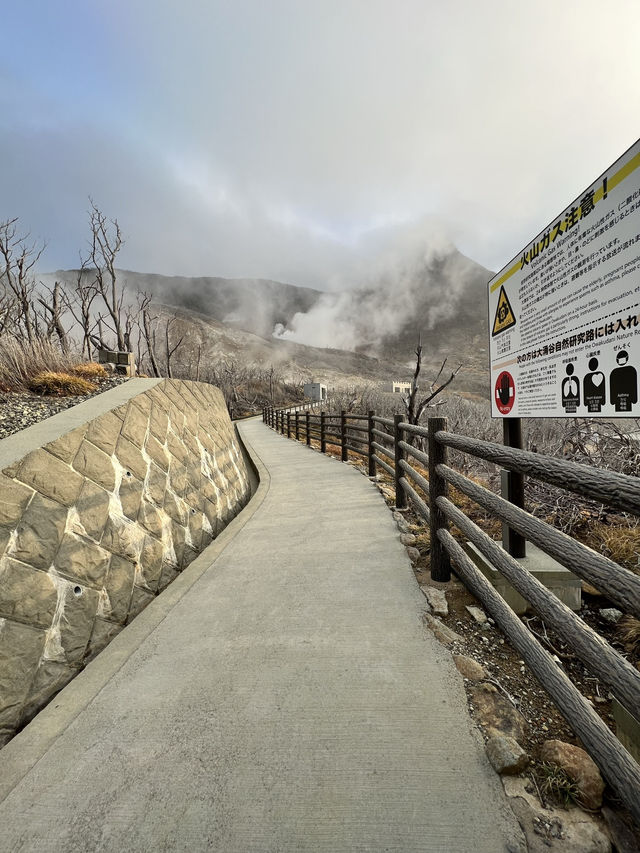 【箱根】地獄谷ならぬ大自然の絶景