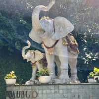 A fantastic holiday stay in ubud