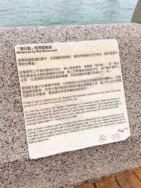 🎏維港附近發現🇭🇰有多個不明屋仔⁉️