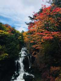 Ryuzu Falls น้ำตกสวยๆ กับใบไม้เปลี่ยนสี คือฟิน