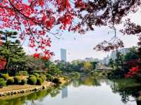 濃縮廣島四季美景，楓紅如畫的縮景園