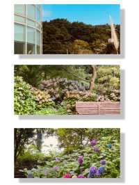 Spring's Photographer's Paradise 