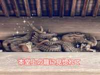知多の旅　美しい木蓮が見ごろの醒悟院