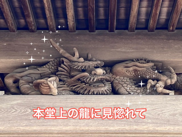 知多の旅　美しい木蓮が見ごろの醒悟院