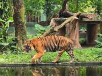 Must-visit places in Zoo Negara Malaysia