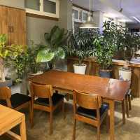 고양이와 식물이 가득한 카페 PACE COFFEE 🍵