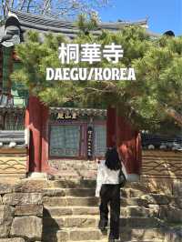 【韓国/大邱】日本人のプロが選んだ絶景30選のうちの一つ！