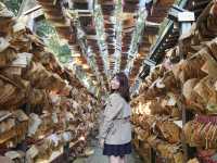 Solo Travel to Kawagoe: My One-Day Adventure from Tokyo🎏