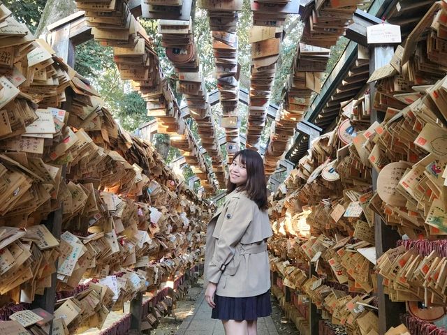 Solo Travel to Kawagoe: My One-Day Adventure from Tokyo🎏