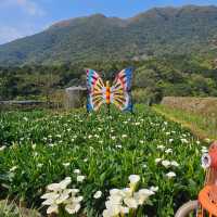 陽明山前山公園