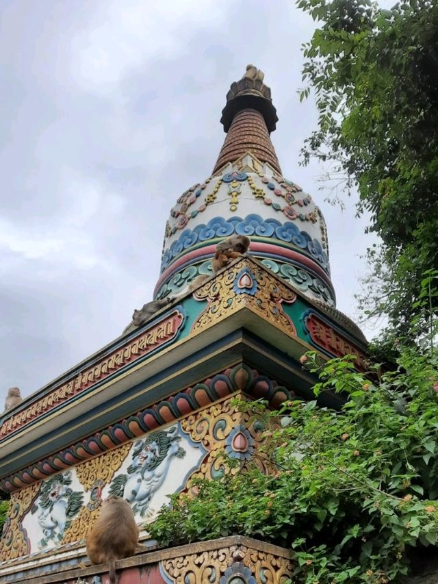 尼泊爾加德滿都著名古跡寺廟景點:猴庙स्वयम्भू महाचैत्य，適合打卡拍照📸祈福