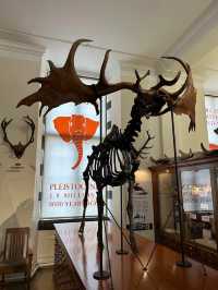 Sedgwick Museum of Earth Sciences