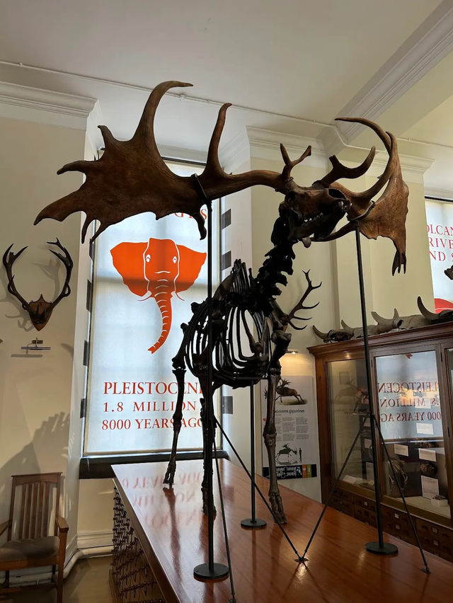 Sedgwick Museum of Earth Sciences