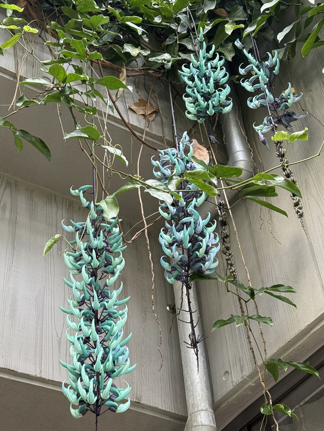 一気に華やかに