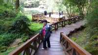 Peaceful Escapes in the Mountains of Alishan, Taiwan