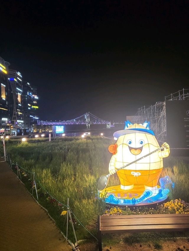 청보리시즌이 시작된 부산 광안리해수욕장