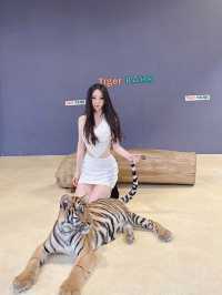 泰國-芭達雅 Tiger Park-Pattaya