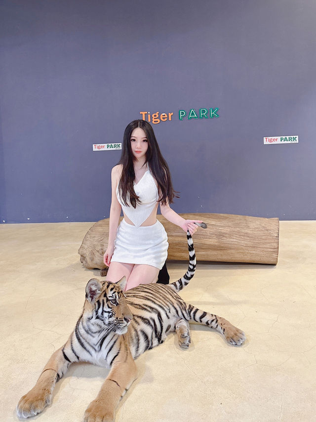 泰國-芭達雅 Tiger Park-Pattaya