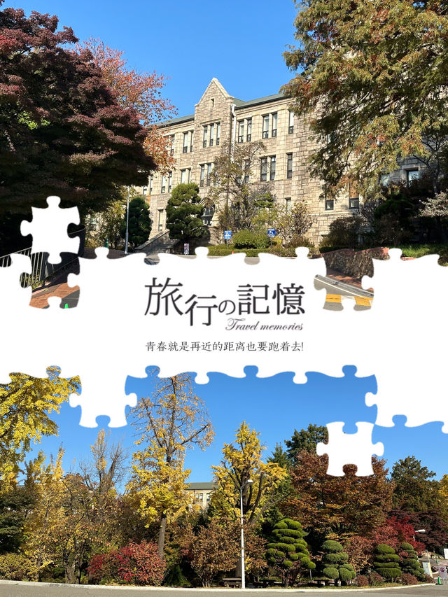 神秘歐洲童話世界再現👆