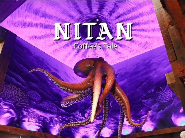 ปลาหมึกยักษ์ที่ Nitan 