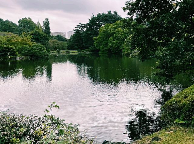 日本東京著名公園景點：新宿御苑，適合打卡拍照📸