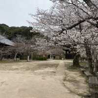 【山口県下関市長府🇯🇵功山寺】見どころたくさん☺️長府巡り