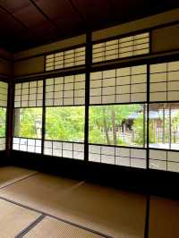 【金沢×日本庭園】21世紀美術館内に移築された日本庭園